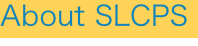 shapeimage_2_link_1
